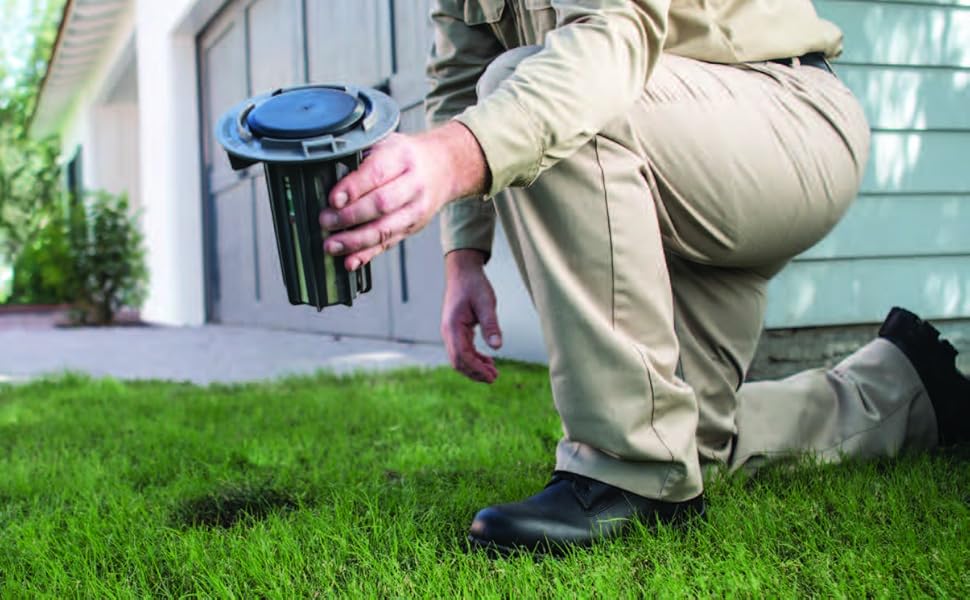 Trelona Termite Station Landscape