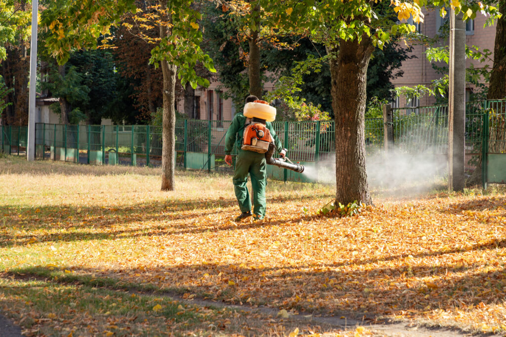 Mosquito fogger